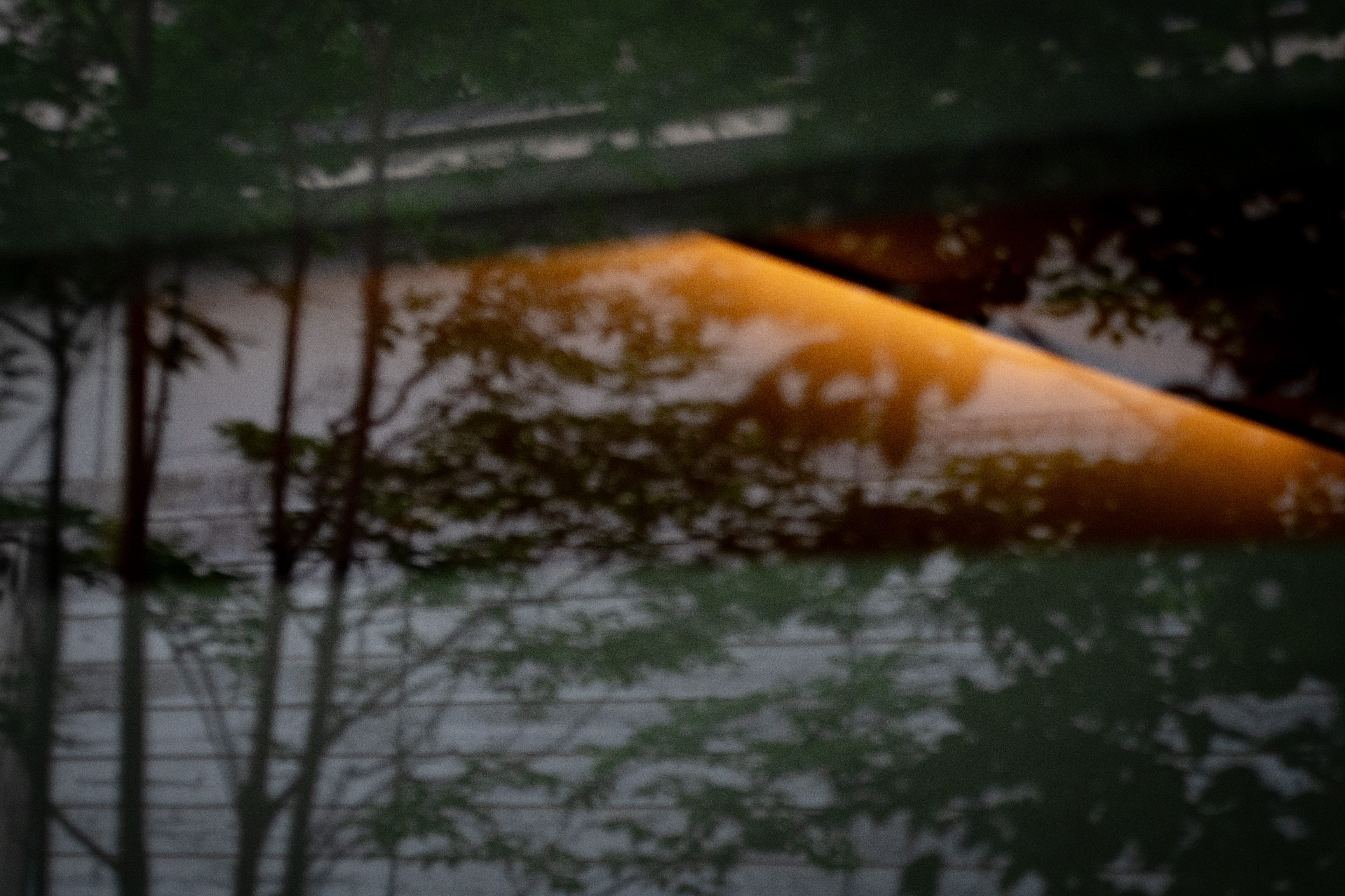 青藍 丸万 | せいらん まるまん