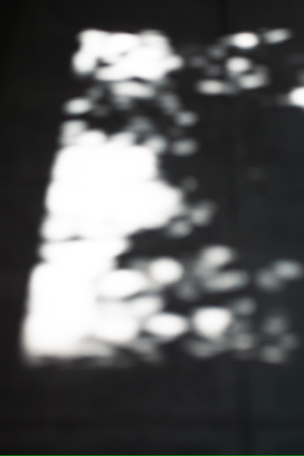 青藍 丸万 | せいらん まるまん